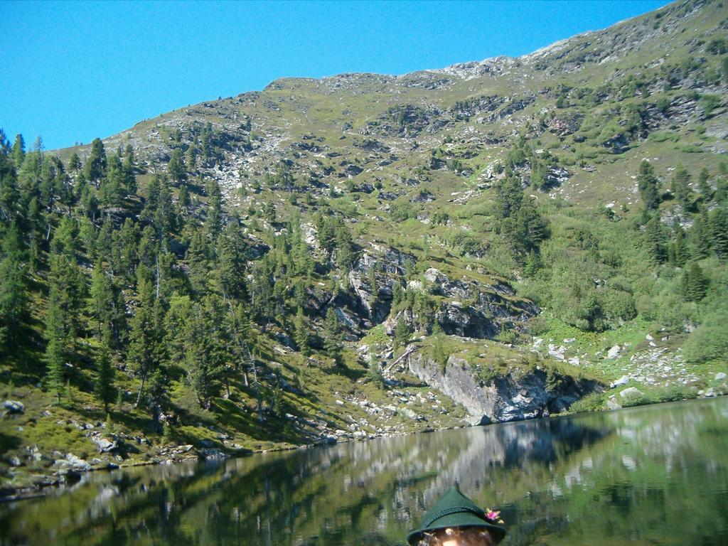 Privatpension Herta Sankt Georgen ob Murau Buitenkant foto