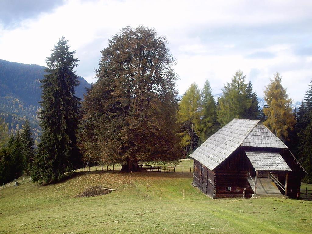 Privatpension Herta Sankt Georgen ob Murau Buitenkant foto